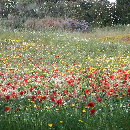 Country house Duas Aguas Arribes