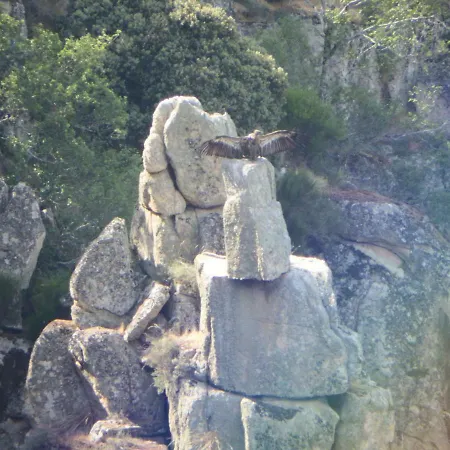 Duas Aguas Arribes Country house