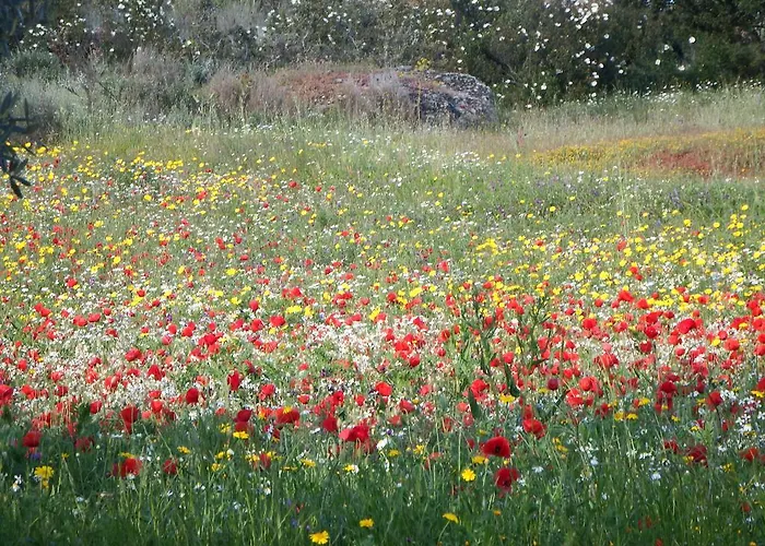 בית כפרי Duas Aguas Arribes